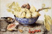 Giovanna Garzoni Chinese Cup with Figs,Cherries and Goldfinch oil painting on canvas